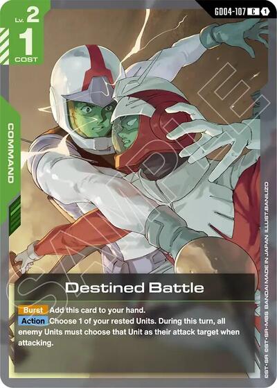 Destined Battle
